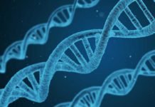 ALS and schizophrenia